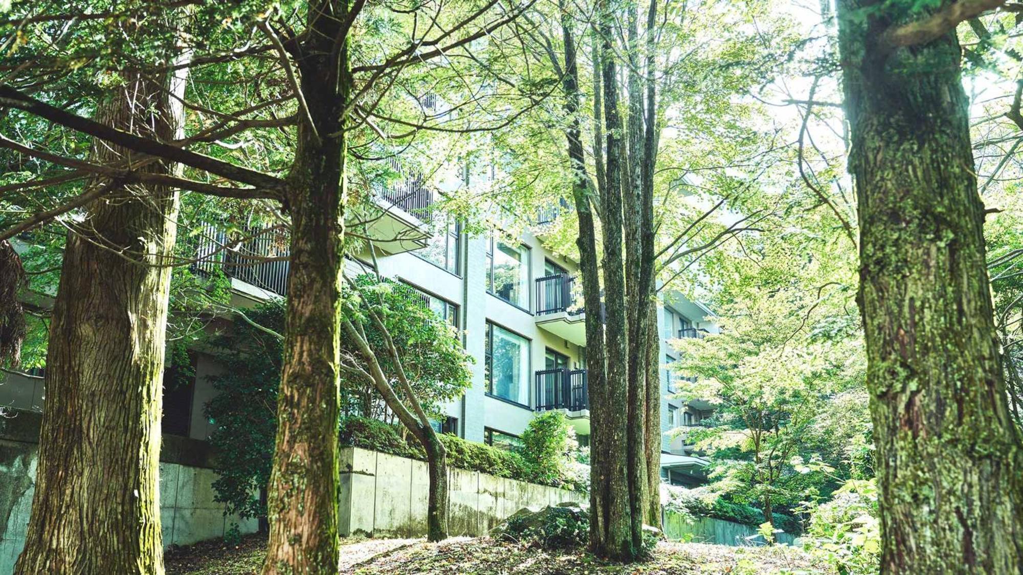 Hotel Tokyu Vacations Hakone Gora Extérieur photo